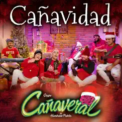 Cañavidad - Single by Grupo Cañaveral de Humberto Pabón album reviews, ratings, credits