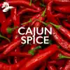 Cajun Spice album lyrics, reviews, download