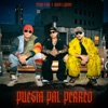 Puesta Pal' Perreo - Single