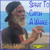 Sprat to Catch a Whale artwork