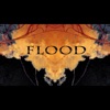 Flood