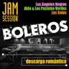 Stream & download Boleros Jam Session: Descarga Romántica