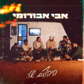 היהלום שלי artwork