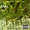 Fake (feat. Eldrin Bruce) - LNM lyrics