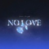 NO LOVE by Shubh iTunes Track 2