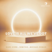 Love Is All We've Got (Extended Mix) artwork