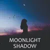 Moonlight Shadow (Guitar Version) - Single album lyrics, reviews, download