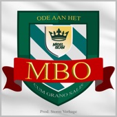 Ode Aan Het Mbo artwork