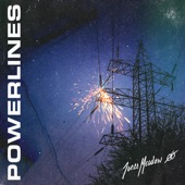 Jones Meadow - Powerlines