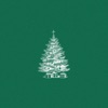 Christmas in Your Arms - Single