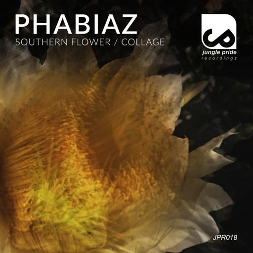 Southern Flower  Collage - Single by Phabiaz