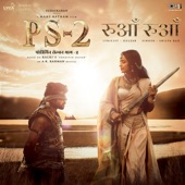 Ruaa Ruaa (From "PS-2") [Hindi] artwork