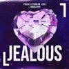 Jealous (feat. Jordan Rys) - Single