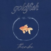 Goldfish by Thumber