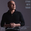 Eyvah Neye Yarar - Single