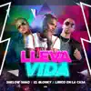 Stream & download Lleva Vida - Single