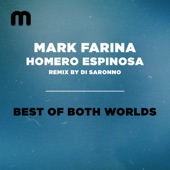 Best of Both Worlds (Di Saronno On The Rocks Mix) artwork