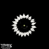 The Crown Syndicate - Asteraceae