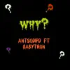 Why? (feat. BabyTron) - Single album lyrics, reviews, download