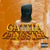 Stream & download Gatita Gangster (feat. Luis Vi, Sayian Jimmy & Nano TCB) - Single