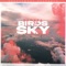 Birds In The Sky cover