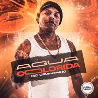 mc urubuzinho dj kosta 22 gua colorida mp3 download mc urubuzinho dj kosta 22 gua colorida mp3 download