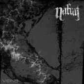 Nafrat - In Absentia