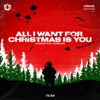 All I Want for Christmas Is You (Hardstyle Version) - Single