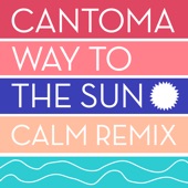 Way to the Sun (Calm Mellow Mellow Acid Mix) artwork