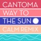 Way to the Sun (Calm Mellow Mellow Acid Mix) artwork