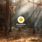 Direct - Canadian Forest lyrics