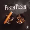 Pesin Pesin (feat. Wande Coal) - Single album lyrics, reviews, download