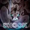 Shook - Single album lyrics, reviews, download