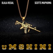 Umshini (feat. Scotts Maphuma) artwork