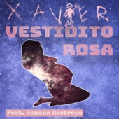 Vestidito Rosa (feat. Roxana Restrepo) artwork