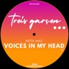 Voices in My Head - Single