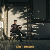 Can’t Imagine artwork