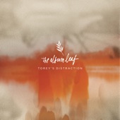 The Album Leaf - A Day in the Life
