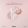 More Than You Know - Single