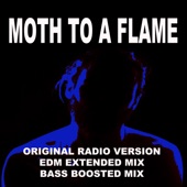 Moth To a Flame (Extended EDM Mix) artwork