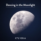 Dancing in the Moonlight (Lofi) artwork