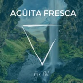 Agüita Fresca (feat. Co'libri) artwork