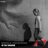 In the Shadow artwork