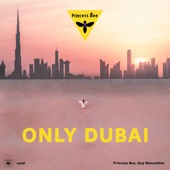 Only Dubai artwork