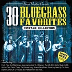 Roy Ross & The Blue Ridge Mountain Boys - Berry Pickin' Time