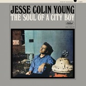 Jesse Colin Young - You Gotta Fix It