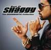 Angel (feat. Rayvon) [feat. Rayvon] - Shaggy
