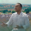 Ja Ti Zorom Dolazim - Single