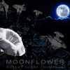 Moonflower