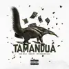 Stream & download Tamanduá (feat. Kweller) - Single